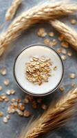 A jar of oat milk surrounded by oats and hazelnuts on a textured surface photo