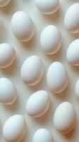 A collection of white eggs arranged neatly on a light background during daylight hours photo