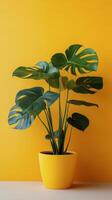 Monstera plant in a vibrant yellow pot against a bright yellow background photo