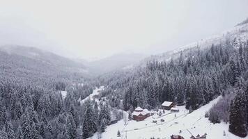 Flight over forest and a village in a mountain valley in the Carpathians in winter. Beautiful landscape of winter mountains. Aerial view. 4K video