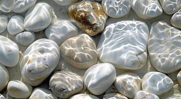 Smooth White Stones Under Clear Shallow Water on a Sunny Day photo