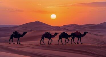 Camel Caravan Silhouette At Sunset In The Sahara Desert photo