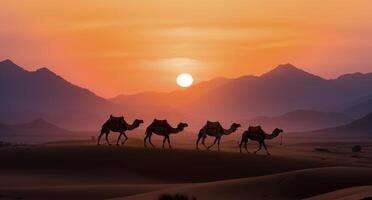 Camel Caravan Silhouette At Sunset In The Sahara Desert photo