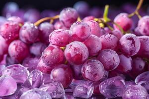 A close-up of fresh purple grapes with water droplets on them, surrounded by ice cubes, highlighting their freshness and appeal. photo