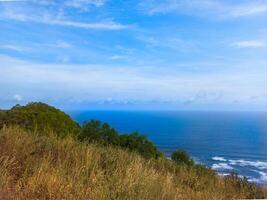 A grassy hillside with a view of the ocean photo