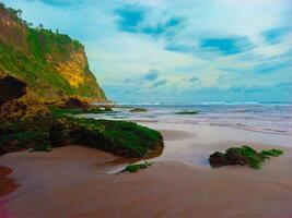 A beach with rocks and green grass on it photo