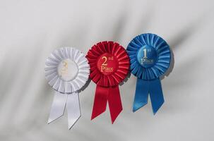 Winner success trending concept. Three rosette on a gray background and the shadow of a palm tree. photo