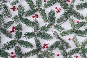 Christmas background of pine branches with red berries photo