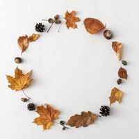 Round frame for text message from autumn leaves on white background, autumnal minimal concept photo