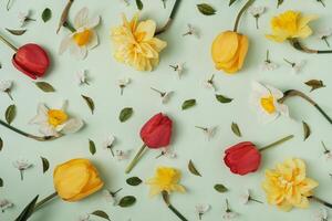 Many different spring flowers on a green background. Tulips, daffodils and other large and small flowers. Holidays and congratulations concept. photo