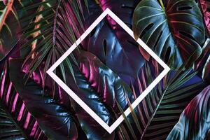 Creative background with moody tropical plants and white frame for copy space. Illuminated reflection jungle for poster. photo