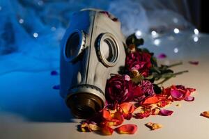 Gas mask among withered roses on table photo