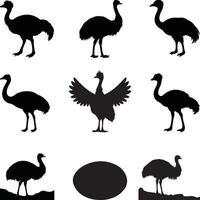 Silhouette of Emu, Tall Emu Illustration for Wildlife and Nature with white background vector