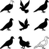 Flying dove silhouettes isolated, Set of black silhouettes of doves in flight. vector