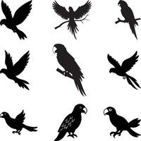 Vectors parrot silhouettes of amazon jungle isolated on white background, Flying Parrot