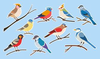 A set of colorful birds are perched on a branch. The birds are of various sizes and colors, including blue, red, yellow, and green. Concept of diversity and harmony vector
