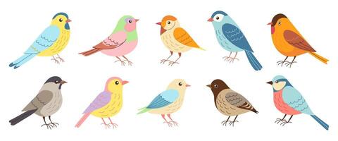 A set of colorful birds in various shades of blue, green, yellow, and red. The birds are arranged in a row, with some standing closer to the left side of the image and others on the right vector