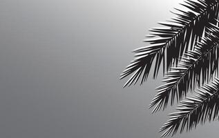 palm silhouette isolated on grey background vector