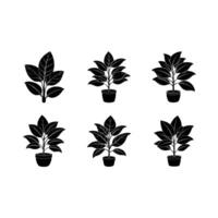 Rubber Plant Illustration - High-Quality Graphic Design File for Digital Projects vector