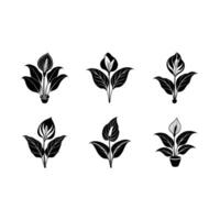 Download a high-quality peace lily design for digital or print use vector