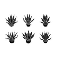 Snake Plant - Digital Graphic Design File vector