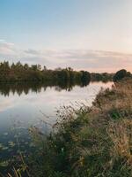 Serene river flows peacefully under soft sunset sky. Lush greenery with wild grasses and plants. Decorative landscape, design element for background about nature, fresh and beauty of environment photo