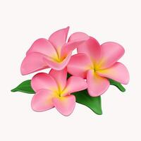 3d frangipani flowers .icon isolated on white background. 3d rendering illustration. Clipping path. photo