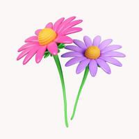 3d pink and purple echinacea flower. icon isolated on white background. 3d rendering illustration. Clipping path. photo