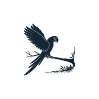 Simple Parrot Bird Silhouette Style with white vector
