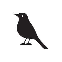 The Bird Silhouette with white background vector