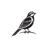 Creative simple Bird silhouette white background vector