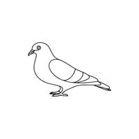 Dove silhouette Style with white background vector