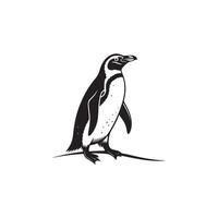 Creative Simple Penguin silhouette with white background vector