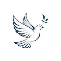 Dove silhouette Style with white vector