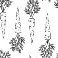 Seamless pattern with carrot. Hand drawn illustration. vector