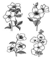 Hand-drawn flowers with stems and leaves in black and white vector
