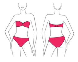 Female body shapes in a red swimsuit vector