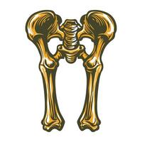 A vintage illustration of femur structure vector