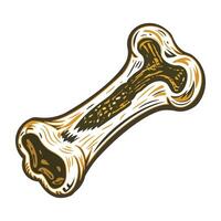 An illustration of human bone in vintage style vector