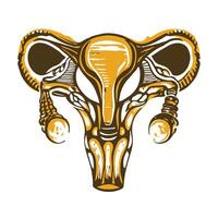 A vintage style illustration of reproductive system vector