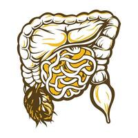 Vintage illustration of intestinal gland vector