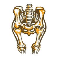 Ligaments illustration designed in vintage style vector