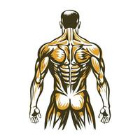 A vintage illustration of human skeleton vector