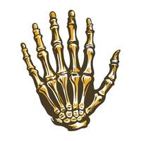 Metacarpals illustration designed in vintage style vector