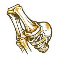 A vintage illustration of tendon vector