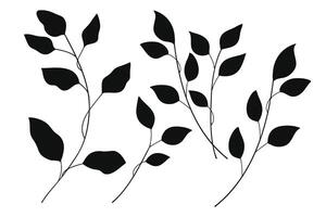 Black silhouette Leaves branch and floral plants element collection. illustration vector