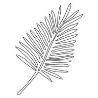 Hand drawing line continuous line art palm leaf. vector