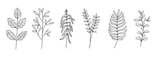 Set of different plants hand drawn . illustration vector