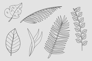 Tropical leaves and branches botany plant black line set. Botanical element collection. illustration vector