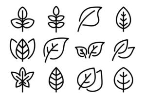 Natural simple set linear leaves and branches icons set vector
